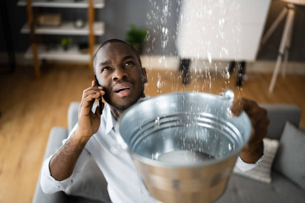  Atlanta, IL Water damage restoration Pros
