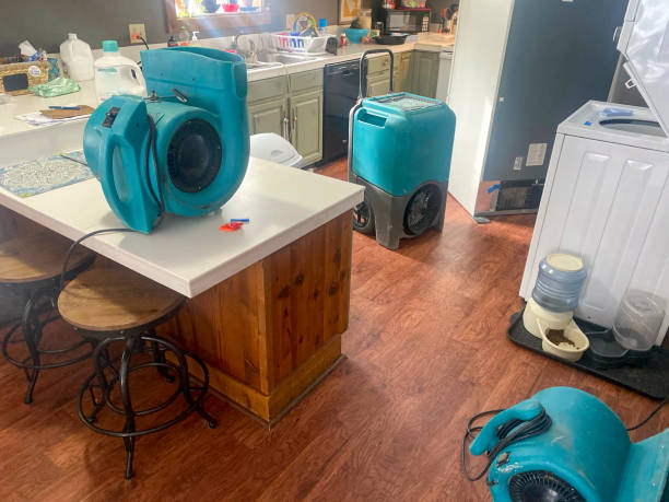 Reliable Atlanta, IL Water damage restoration Solutions