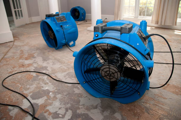 Best Sewage cleanup and water damage restoration  in Atlanta, IL