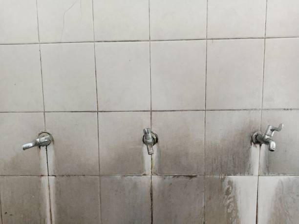 Best 24-hour water damage restoration  in Atlanta, IL