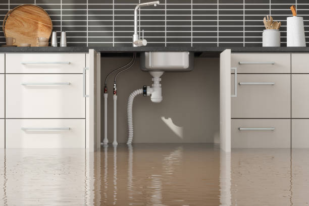Best Water damage restoration near me  in Atlanta, IL
